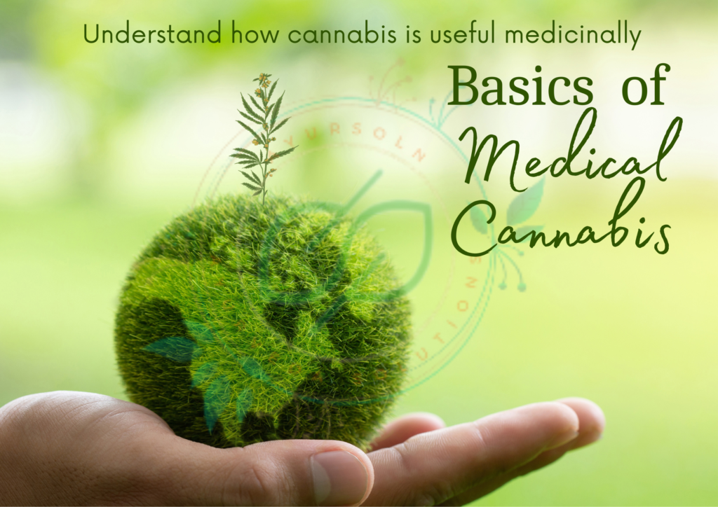 Medical Cannabis basics